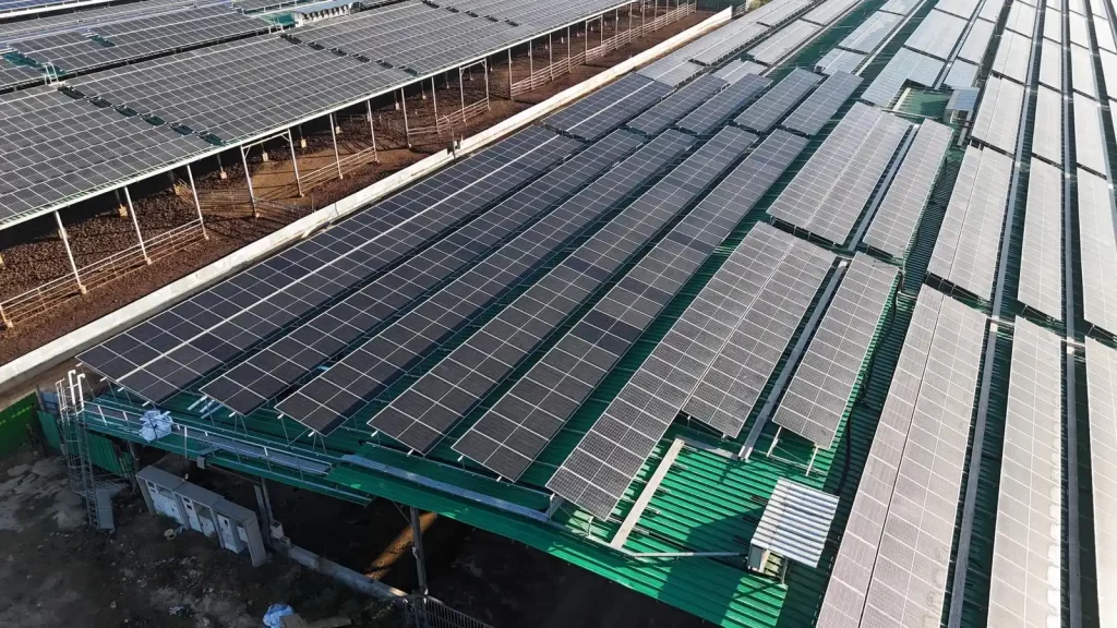 k power energy מערכת סולארית